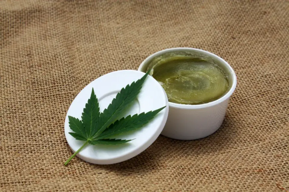 Pěstování konopí 