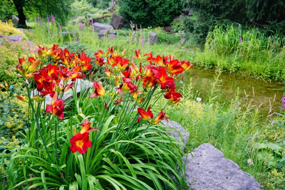  Barevná zahrada v červené barvě