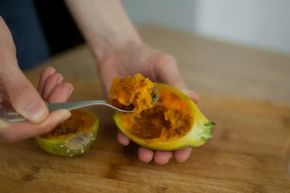 Jedlé plody opuncie