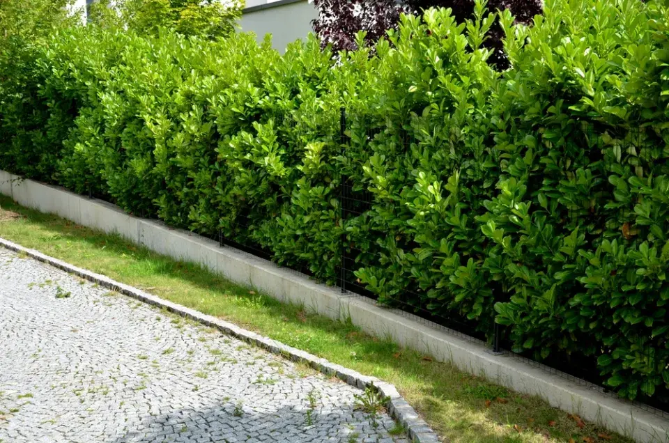 Betonové obrubníky