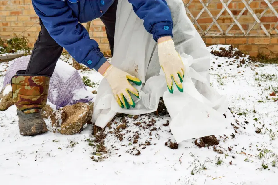 Bílá netkaná textilie