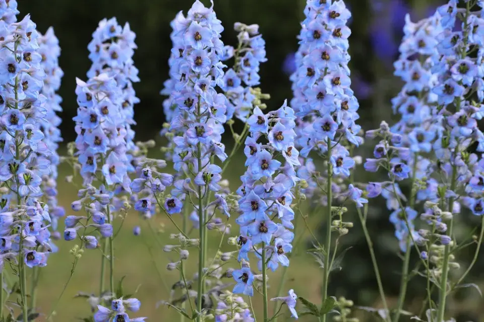Modrá a fialová nejsou chladné barvy. Jsou to barvy klidu, hloubky a sofistikované krásy