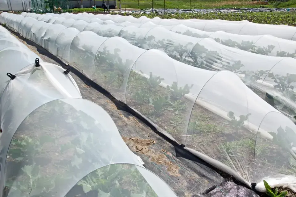 Stínovka v zahradě