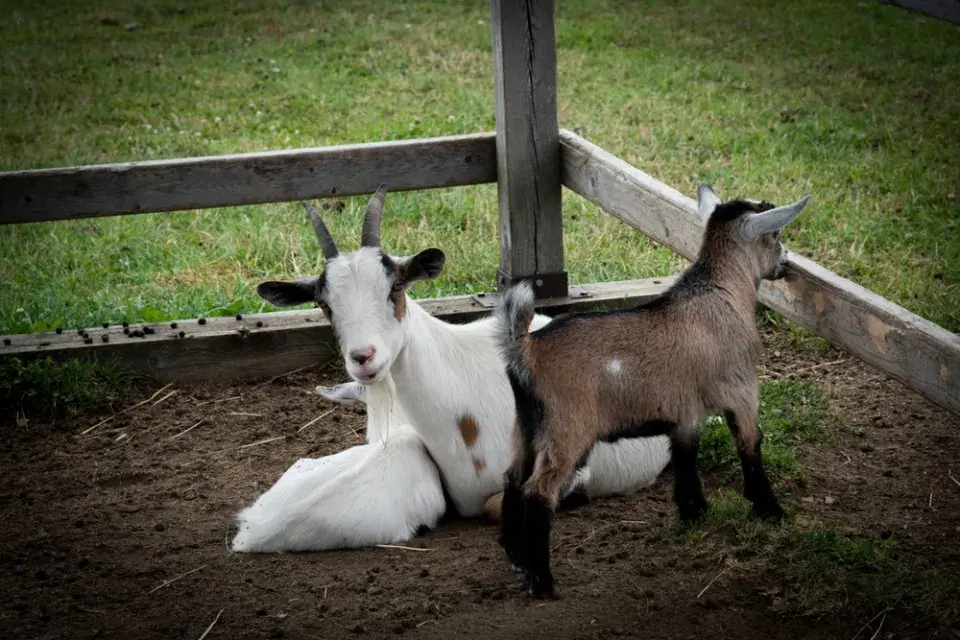 Víkendové počasí vás nemusí mrzet. Vyrazte do přírody nebo na výstavy