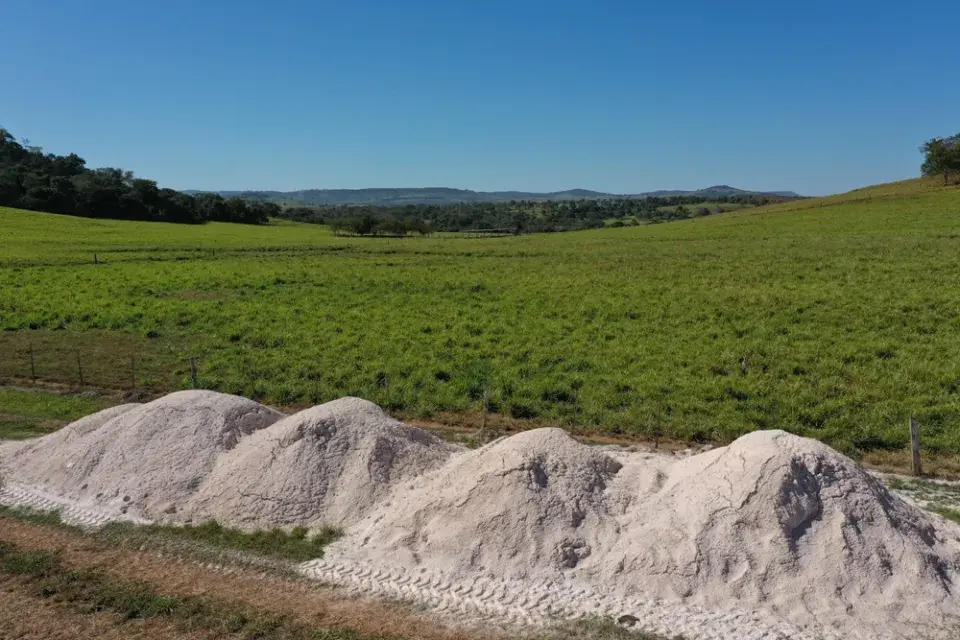 Kyselá půda neznamená konec pěstování. Naučte se své půdě rozumět a pracovat s ní