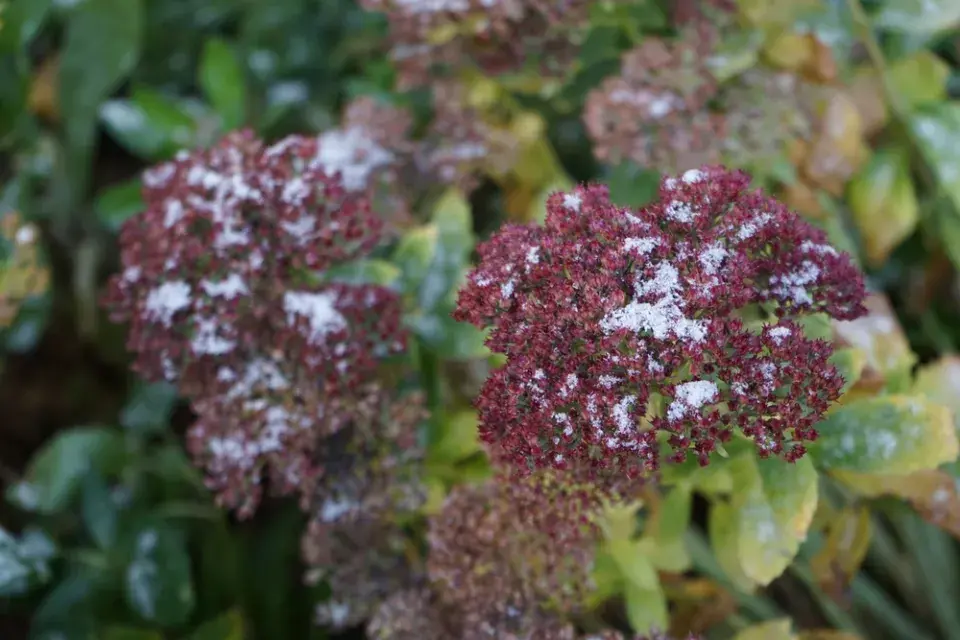 Modrá a fialová nejsou chladné barvy. Jsou to barvy klidu, hloubky a sofistikované krásy