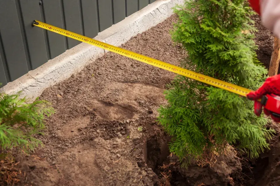 Plánování, ochrana a vylepšení zahrady začíná v lednu, dokud zahrada spí