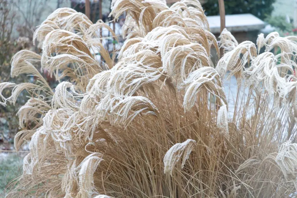 Jak přežít Blue Monday bez depresí a udělat něco pro sebe?