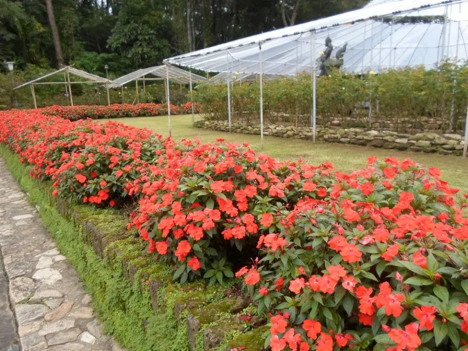 Barevná zahrada v červené barvě