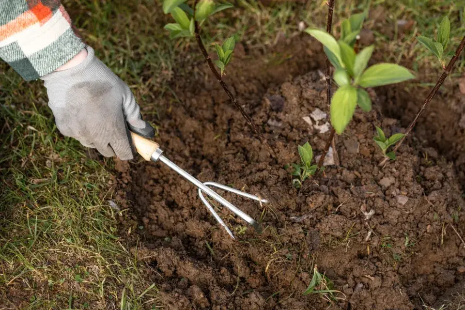 Nářadí, bez kterého se na jaře neobejdete