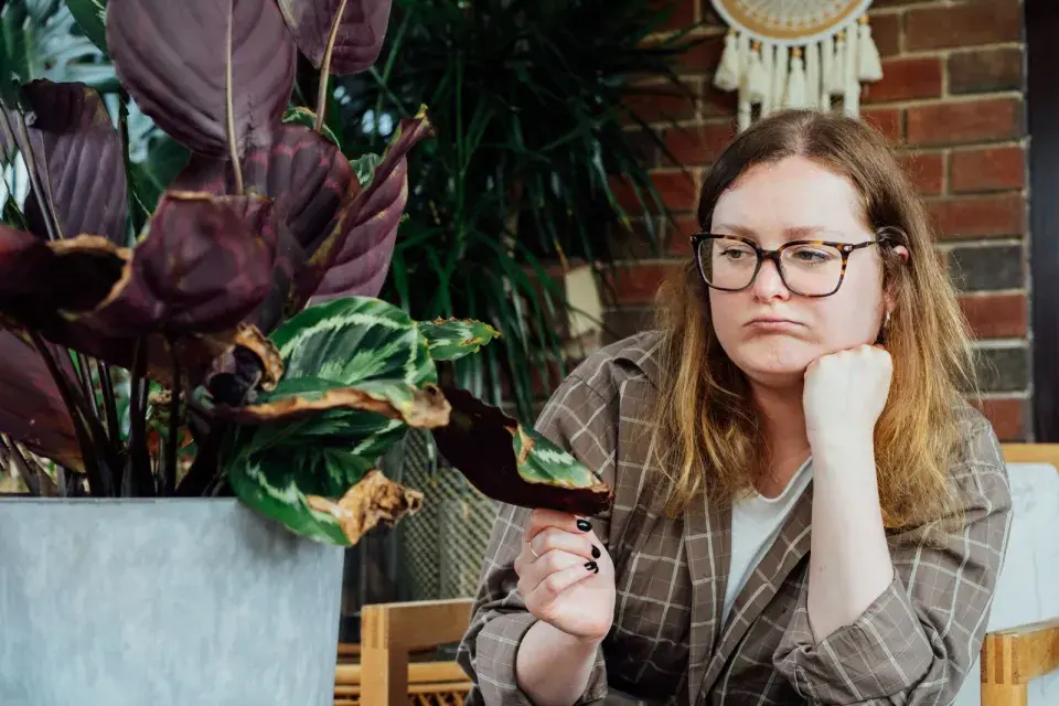 Přesazování v lednu 