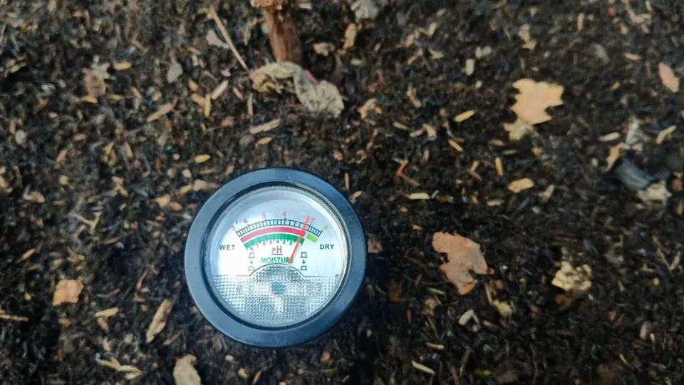 Kyselá půda neznamená konec pěstování. Naučte se své půdě rozumět a pracovat s ní