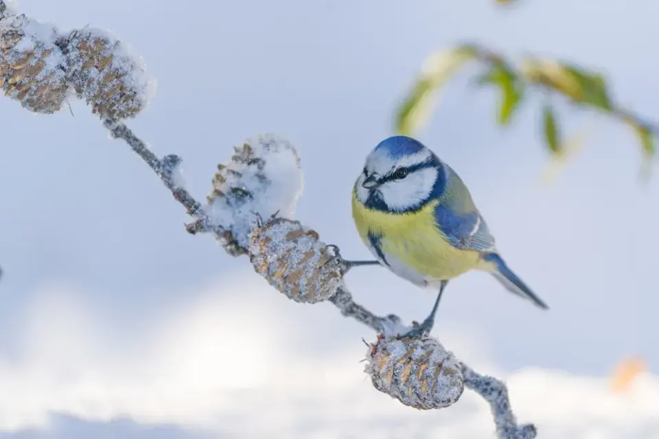 Jak přežít Blue Monday bez depresí a udělat něco pro sebe?
