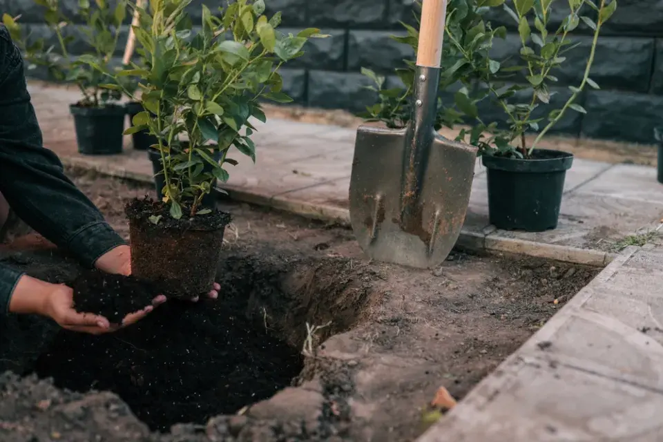 Nářadí, bez kterého se na jaře neobejdete