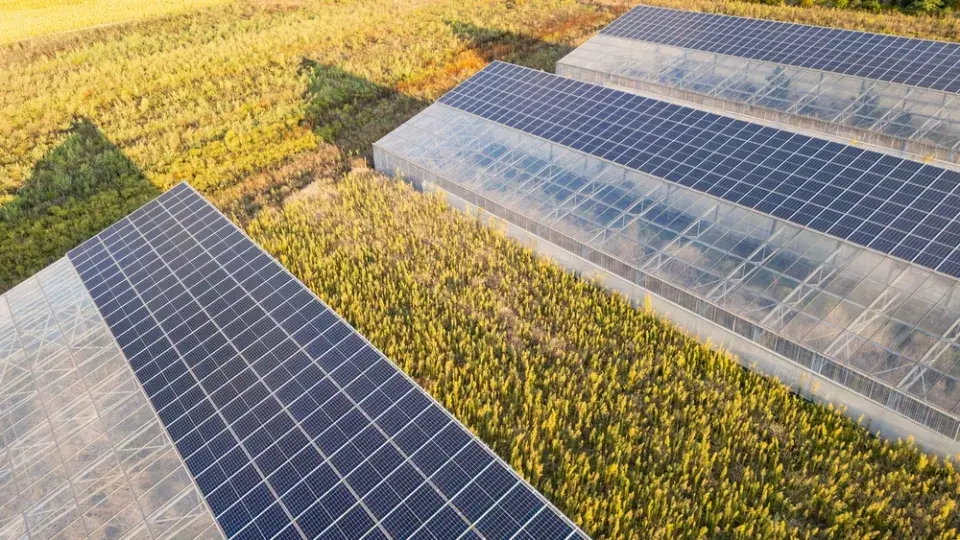 Skleník, pergola, solární panely: Kdy už potřebujete povolení