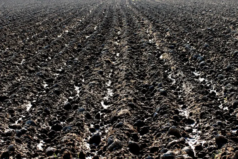 S některými pracemi na zahradě počkejte, dokud se skutečně neoteplí