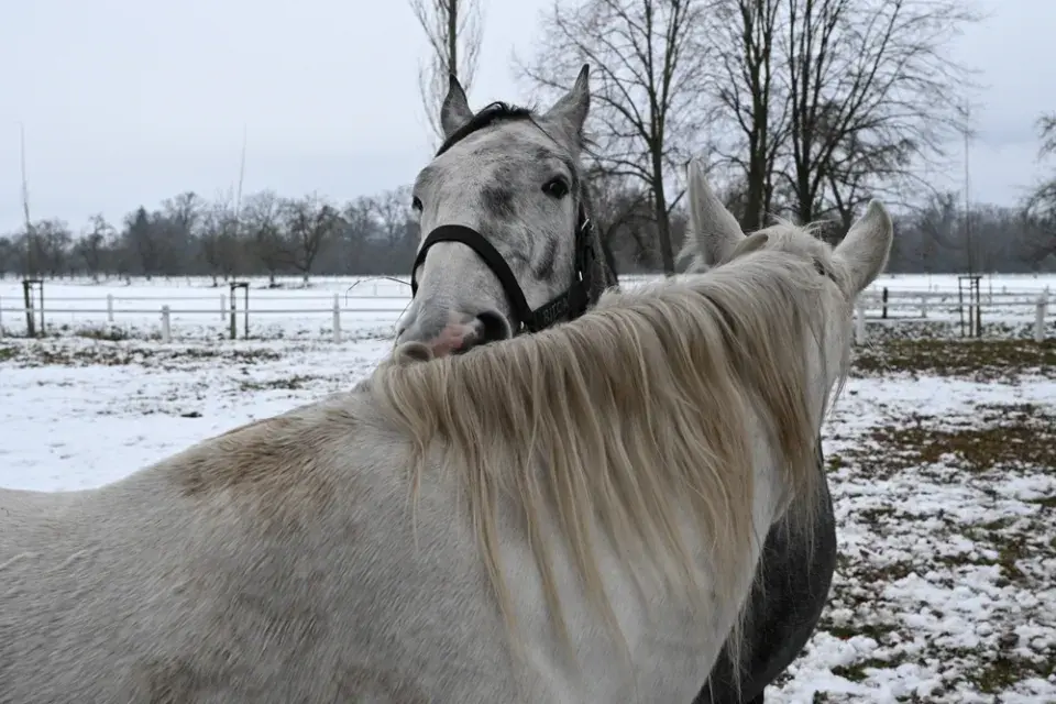 Jaké bude počasí o víkendu? Mrazivé, a proto můžete využít naše tipy na výlety