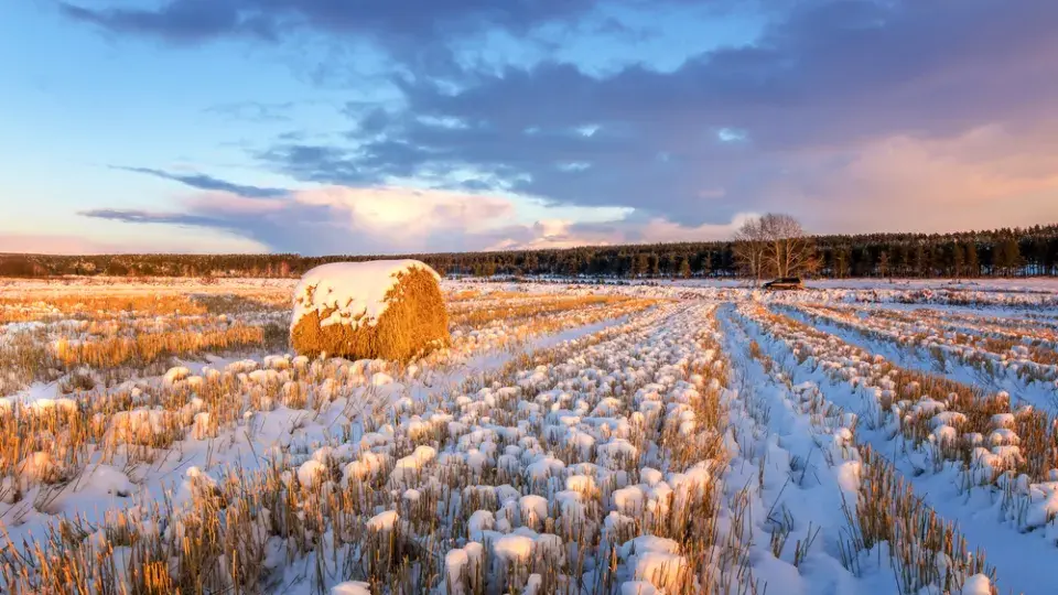 S některými pracemi na zahradě počkejte, dokud se skutečně neoteplí