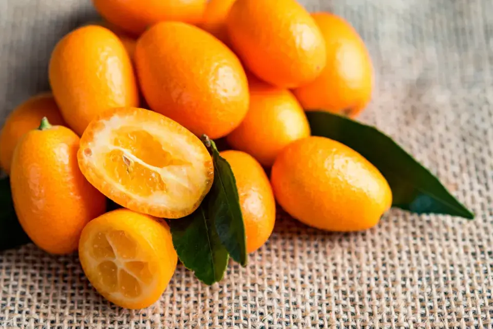 Exotické ovoce kumquat