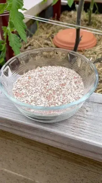 Skořápky na pokojové rostliny