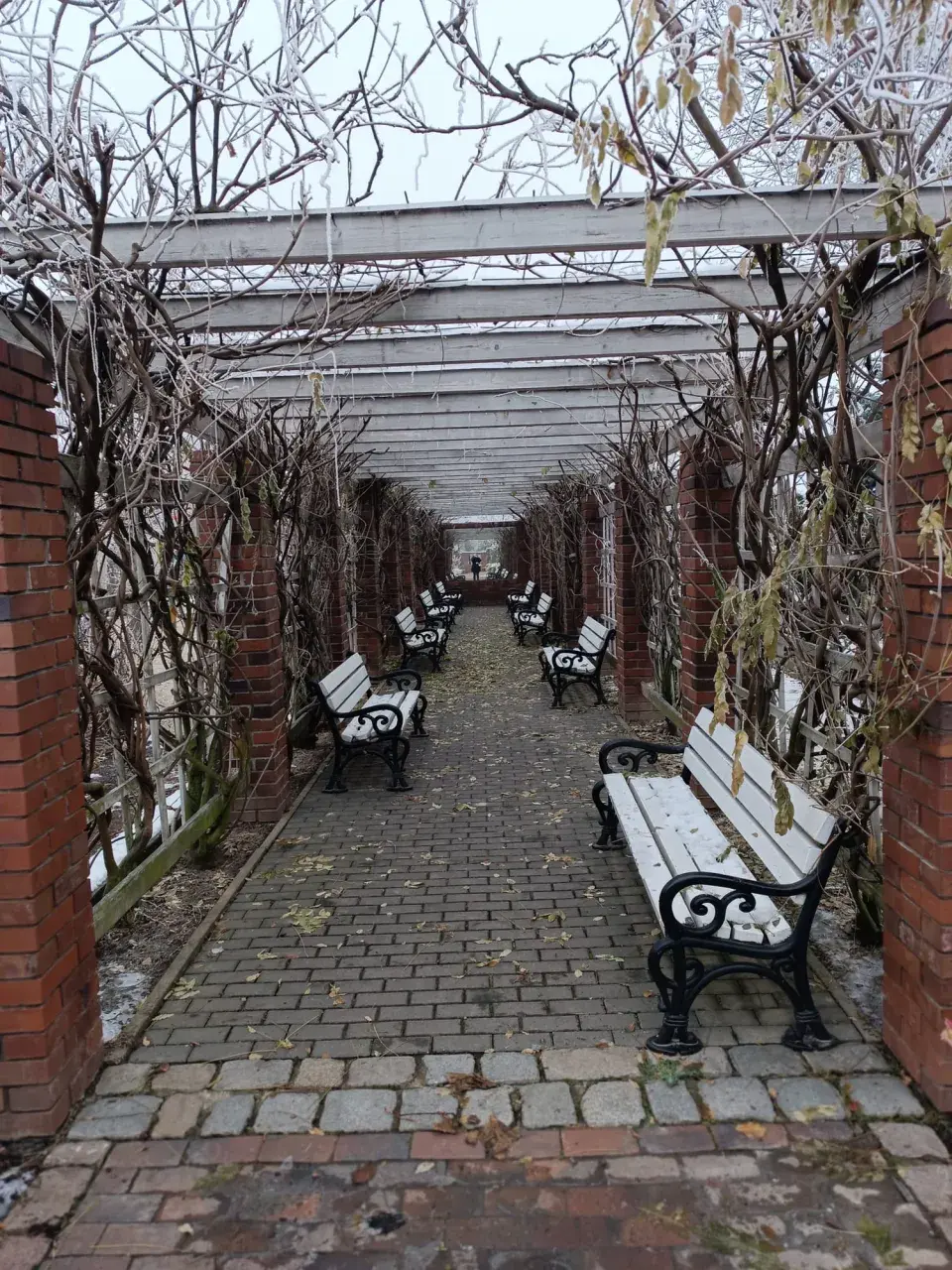 Pergola 