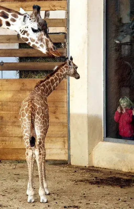 Pololetní prázdniny