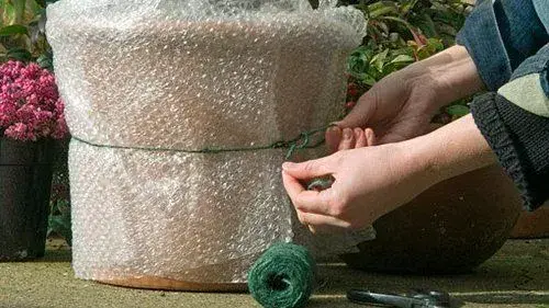 Ochrana rostlin před mrazem