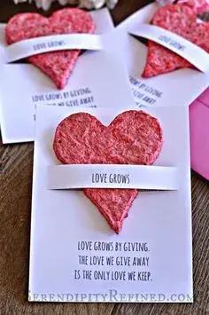 Semínková srdíčka 