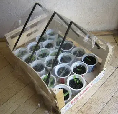 Doma vyrobené pařeniště 