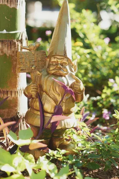 Jednobarevný trpaslík 