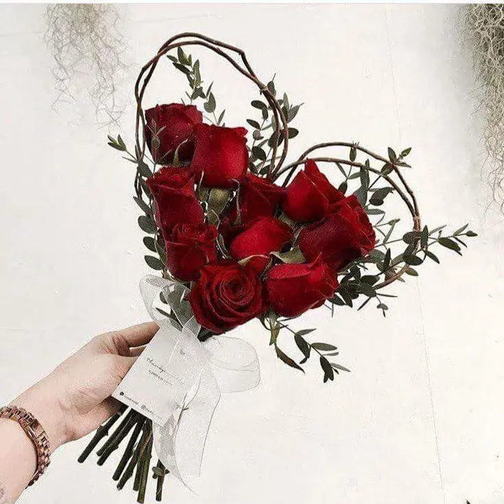 Pro milovnice růží