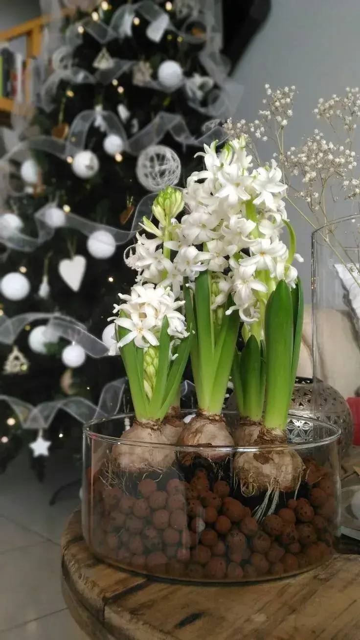 Jarní květinová dekorace