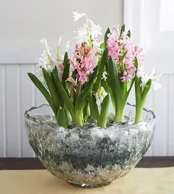 Jarní květinová dekorace