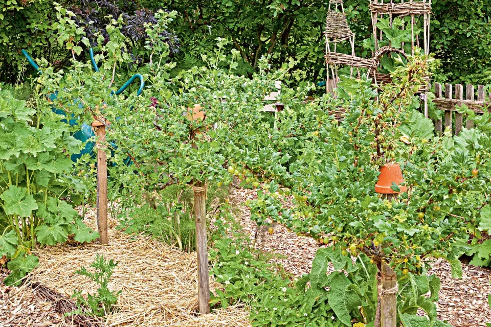 Naše krásná zahrada únor 2026