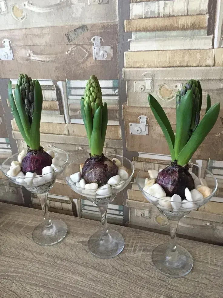 Jarní květinová dekorace