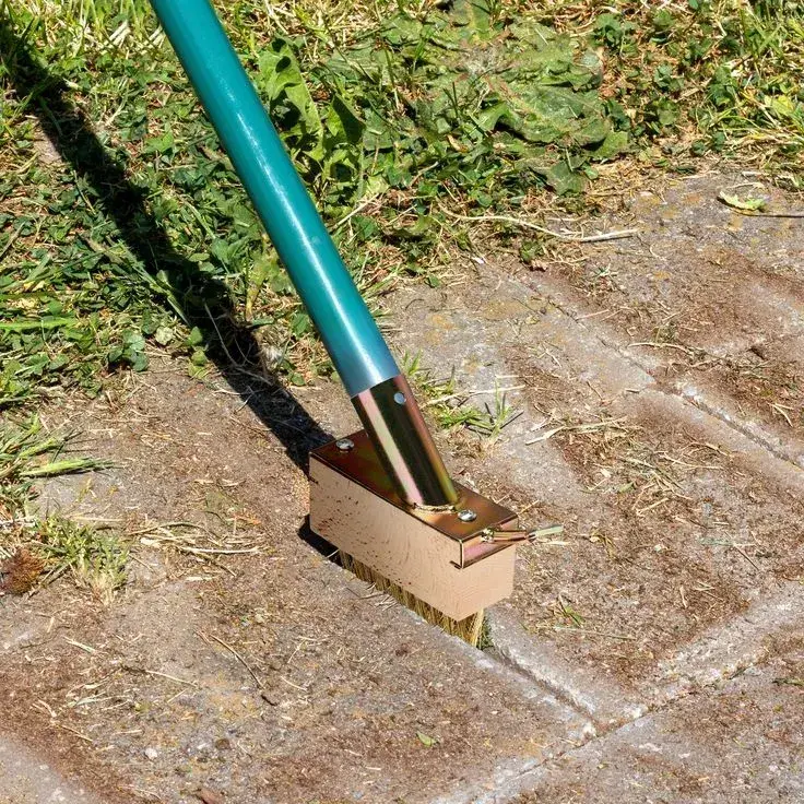 Jak odstranit mech z chodníku