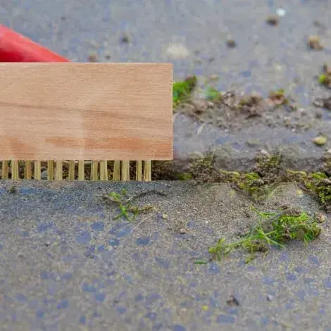 Jak odstranit mech z chodníku