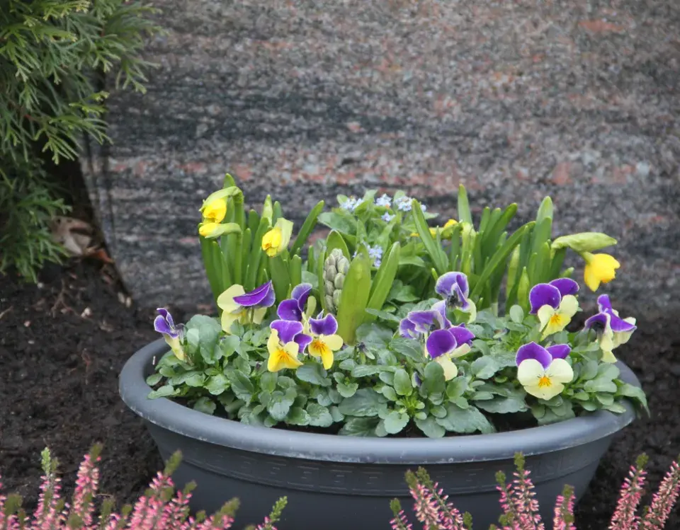 Osázení balkonu směrovaného na jihozápad