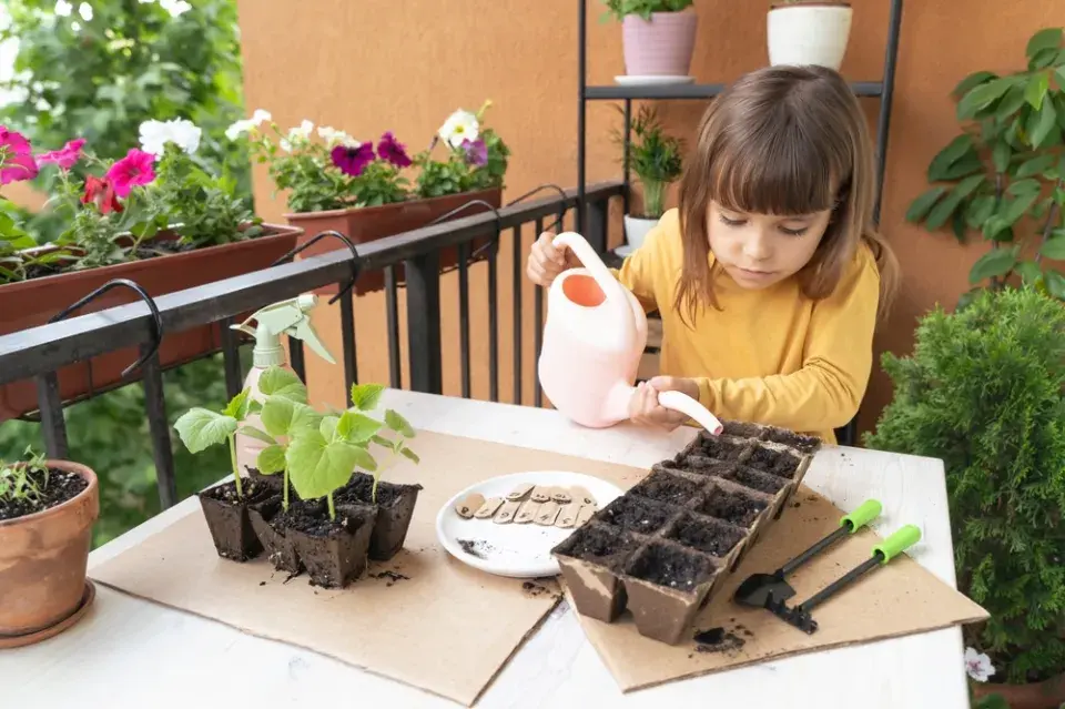 Pěstování zeleniny na balkonu už začněte řešit, je nejvyšší čas