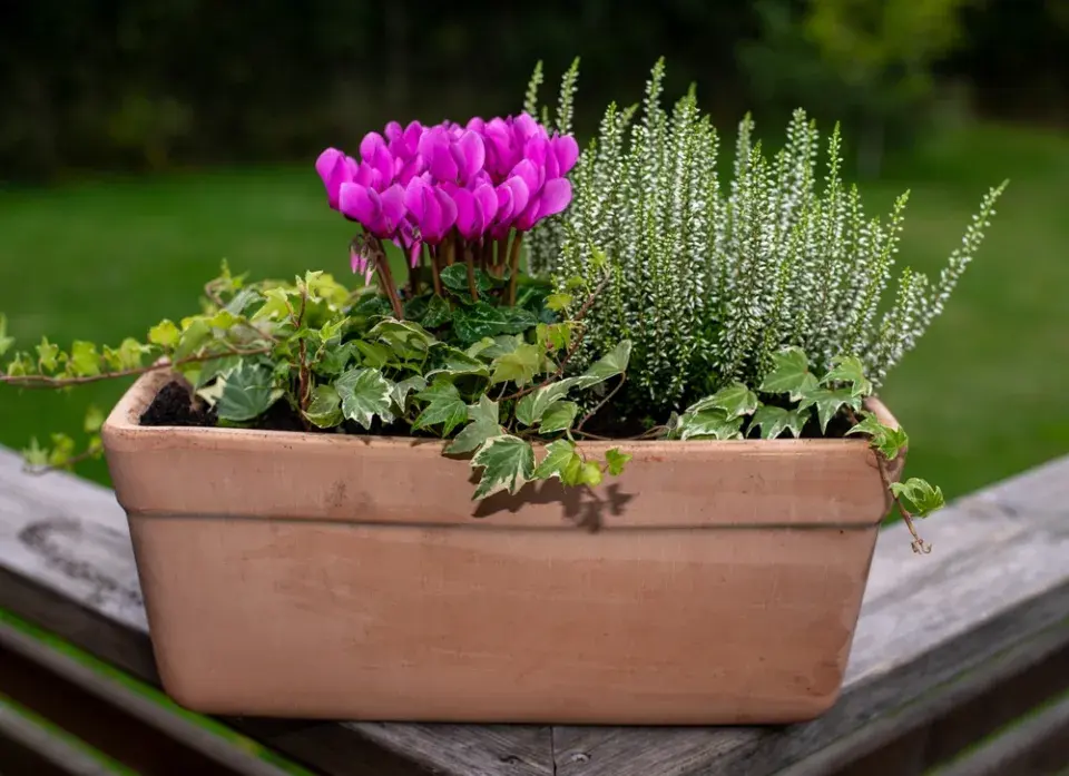 Osázení balkonu směrovaného na jihozápad