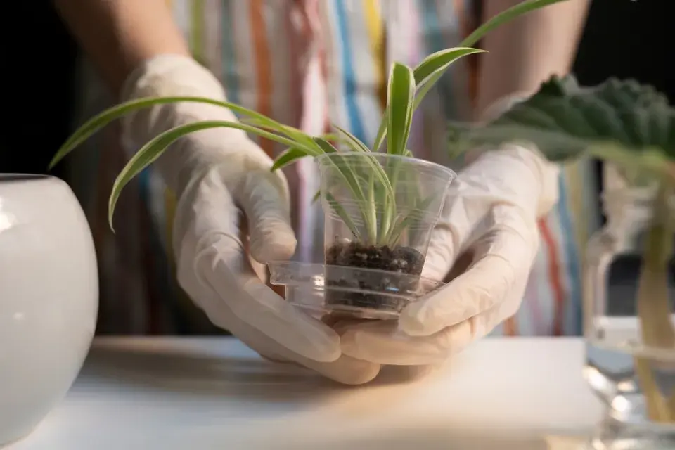 Plastové květináče