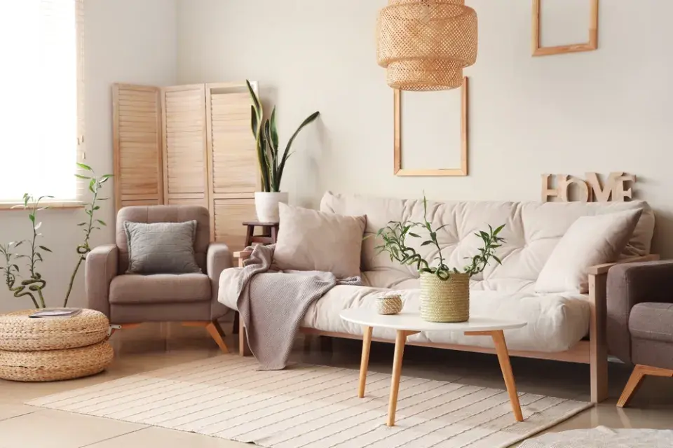 Lucky Bamboo neboli šťastný bambus