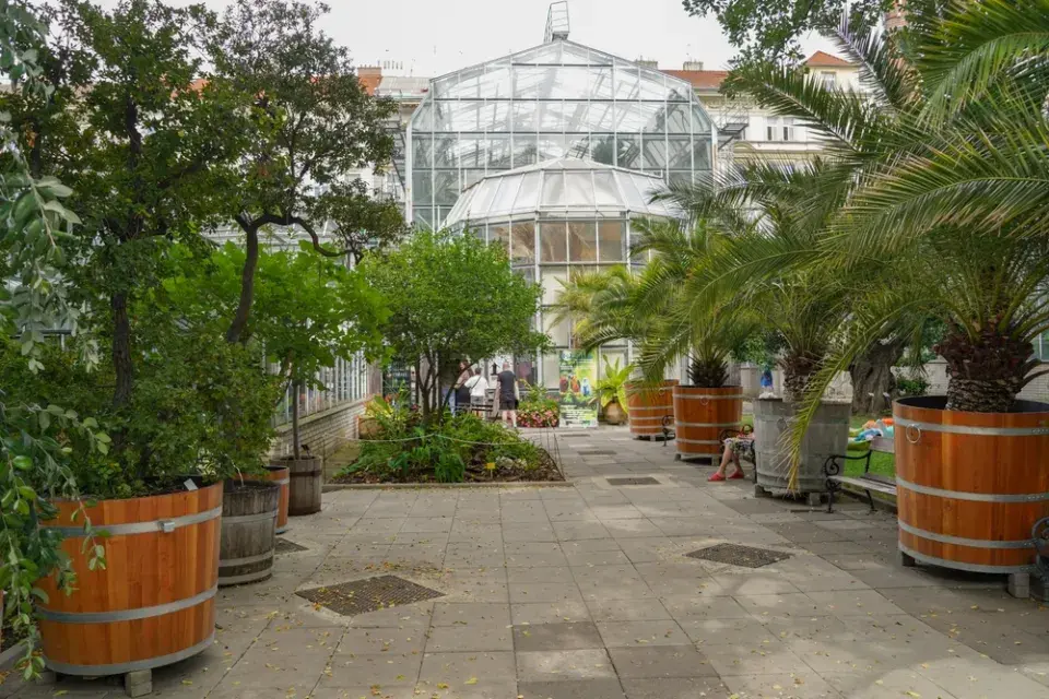 Co nám přinese další víkend? Zima ještě potrvá