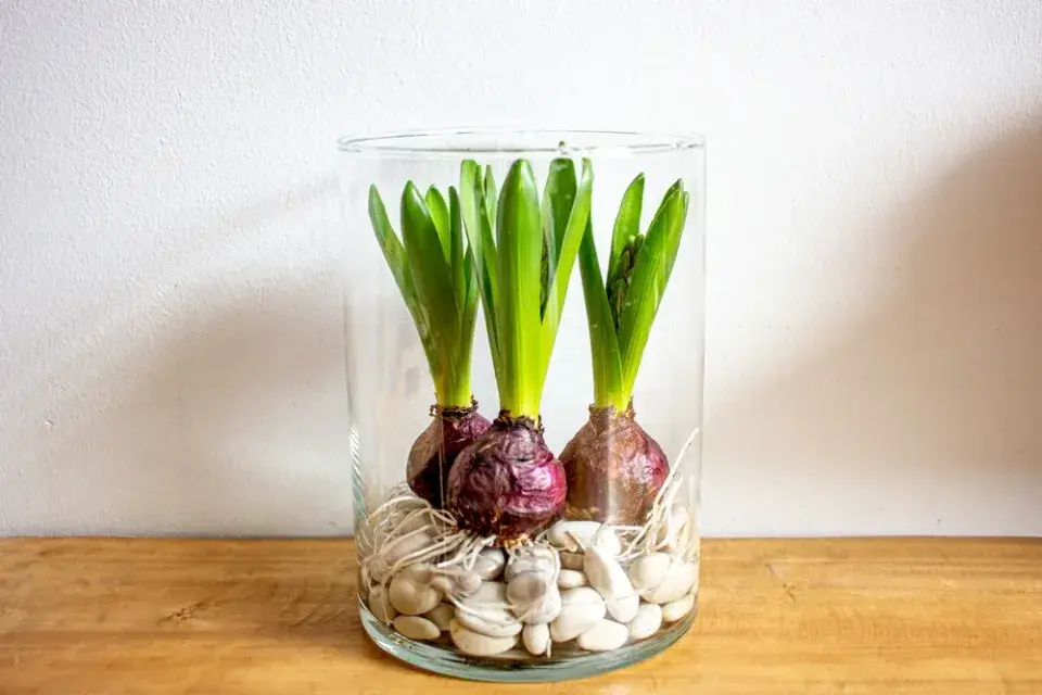 Jarní květinová dekorace