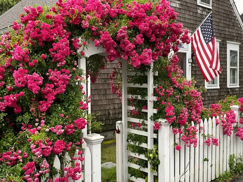 Vstup do předzahrádky