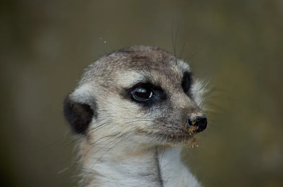 Co nám přinese další víkend? Zima ještě potrvá