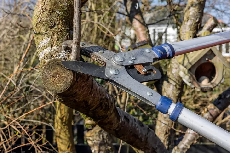 Pátek 13. na zahradě