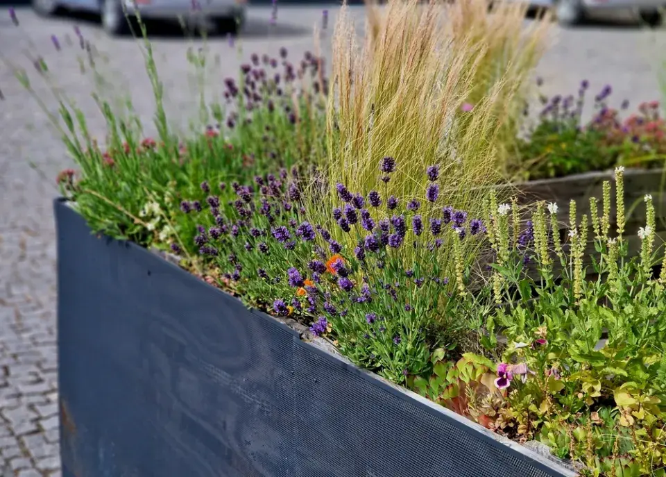 Osázený záhon u terasy