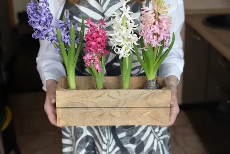 Osázení balkonu směrovaného na jihozápad