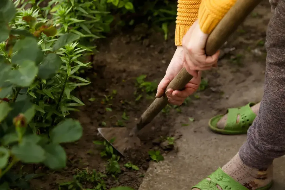 Pátek 13. na zahradě